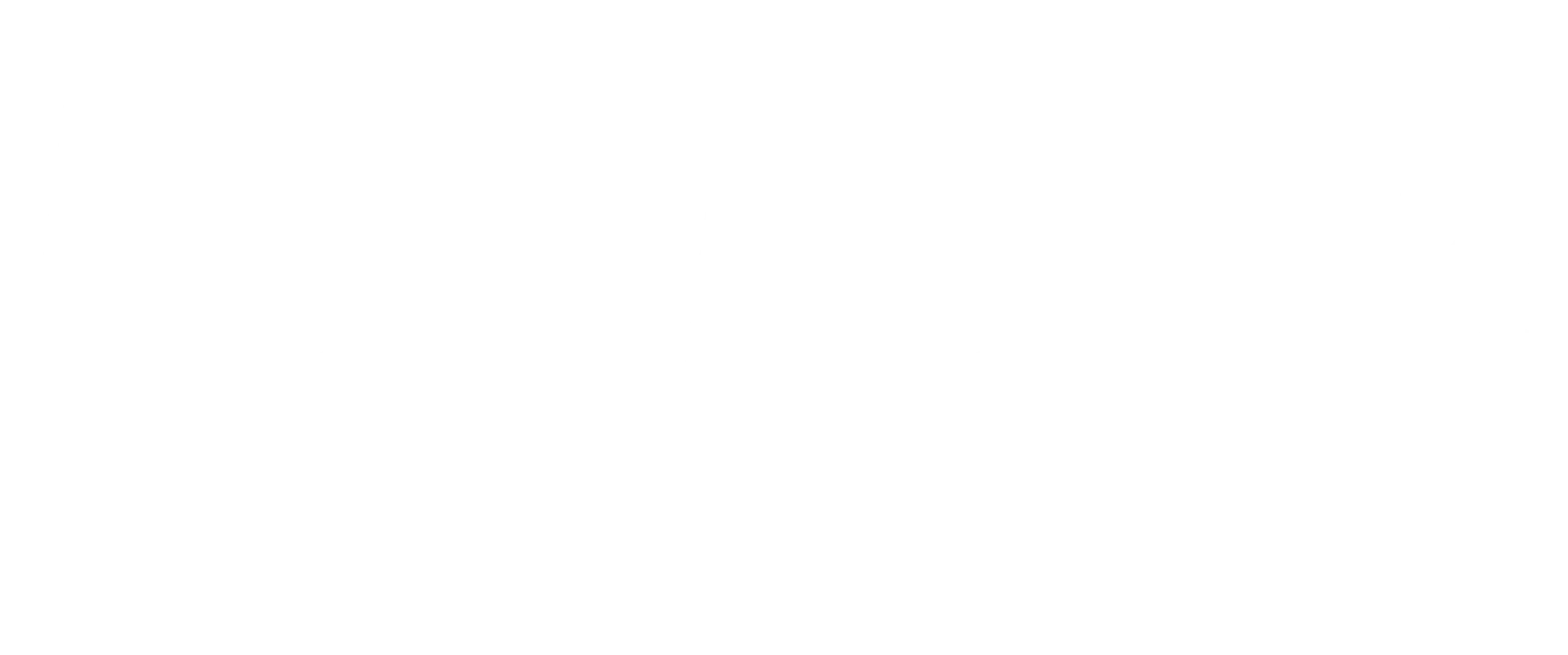 Logo Fiftyfive Media bianco - Agenzia di comunicazione a Ferrara